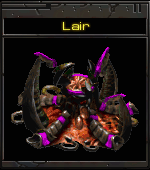 The Lair